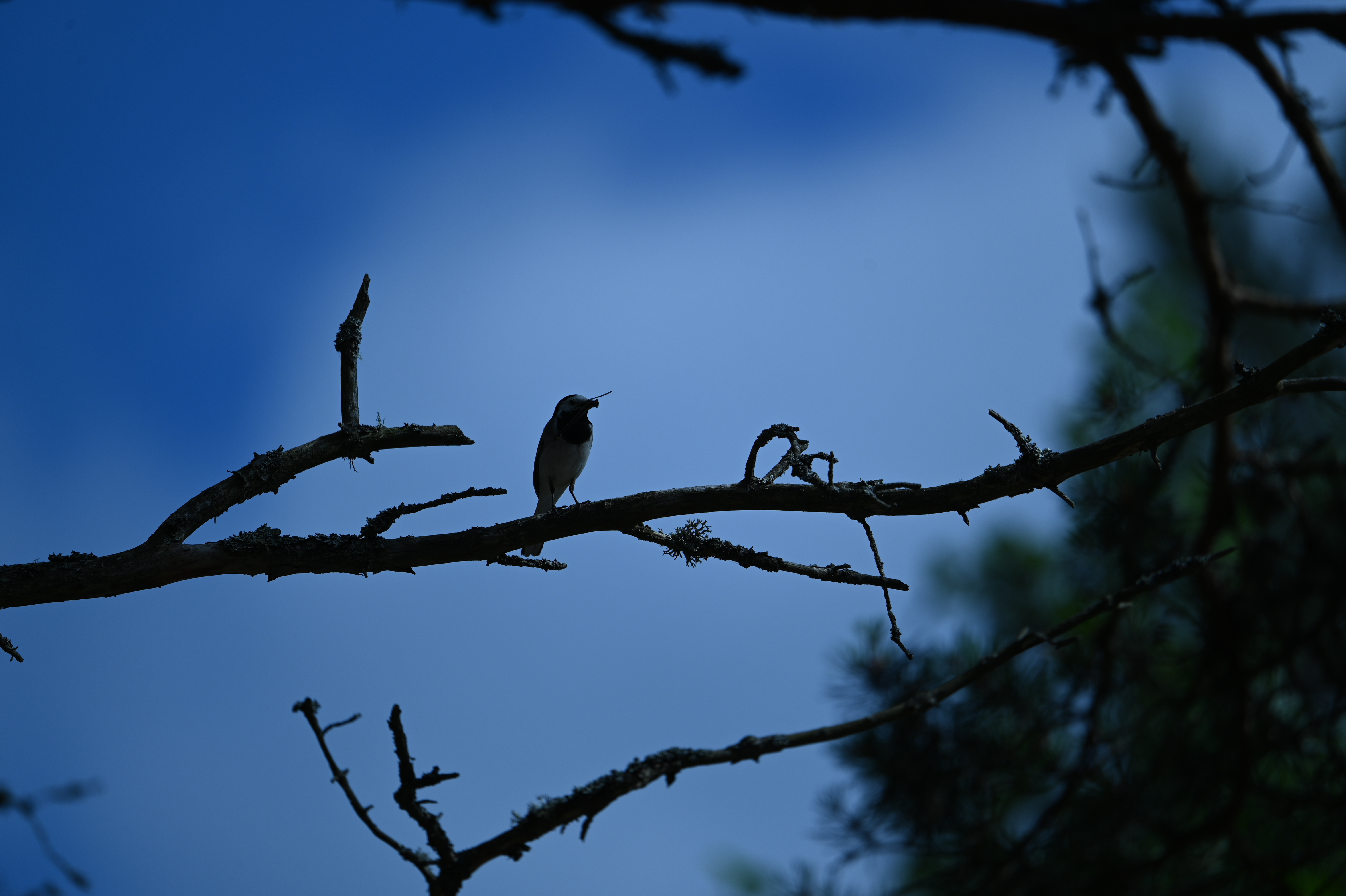 2025/07/09-14 - trip/DSC_0458.JPG